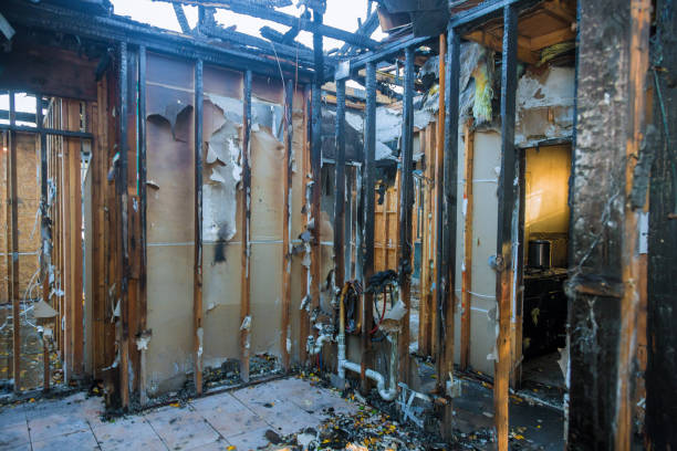 Professional Odor Removal technician working in Newport, WA