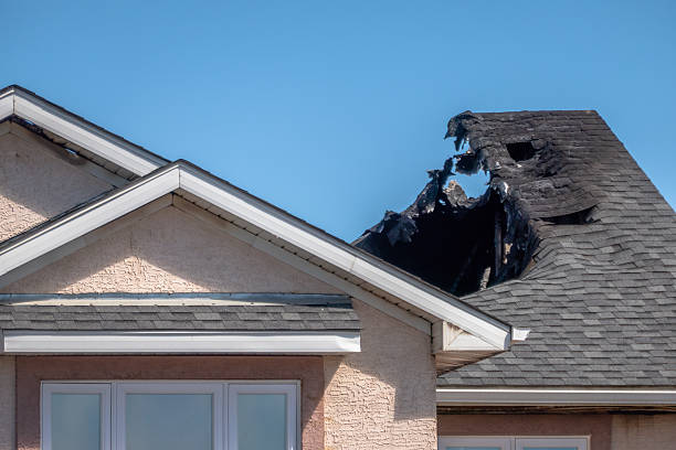 Top rated local Odor Removal specialists in Newport, WA